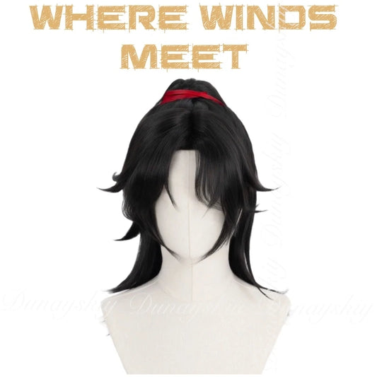 Where Winds Meet Sword Master Wig
